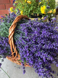 basket of lavender